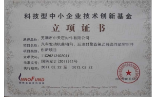 科技型中小企業(yè)技術創(chuàng)新基金立項證書